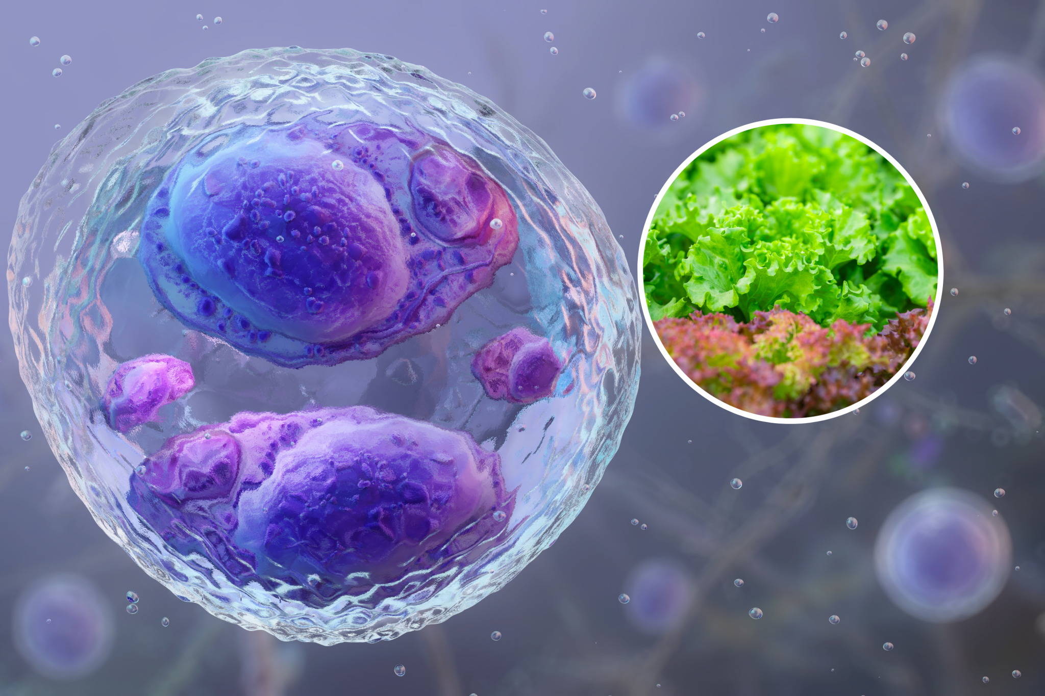 Cyclospora outbreak declared over: What that means for unresolved cases