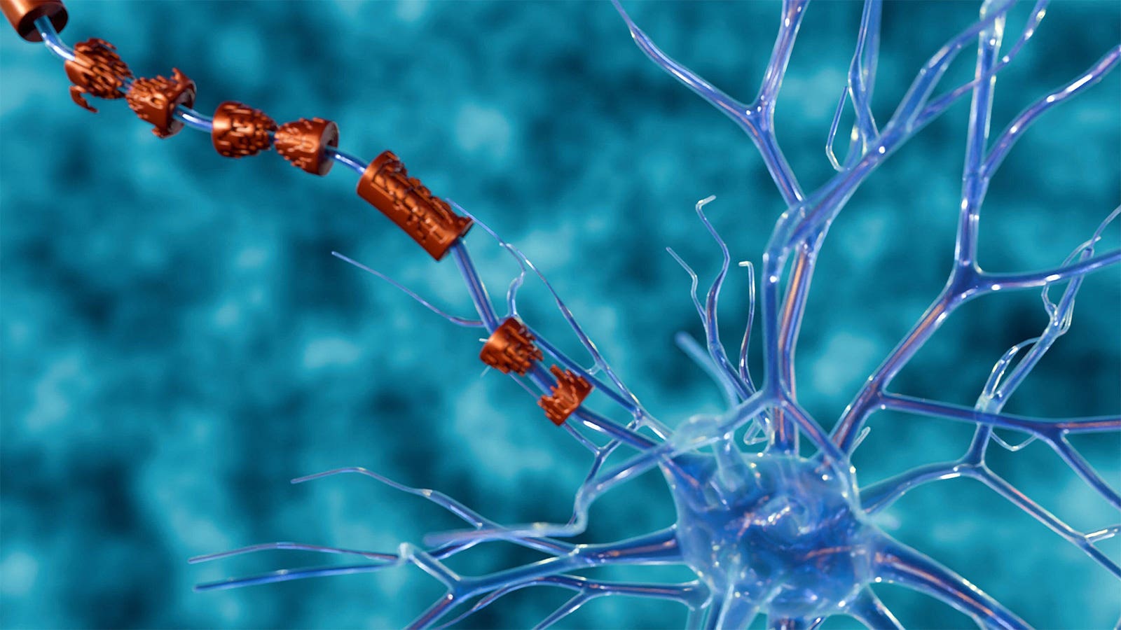 MS drugs differ most on relapses, not disability, real-world study shows