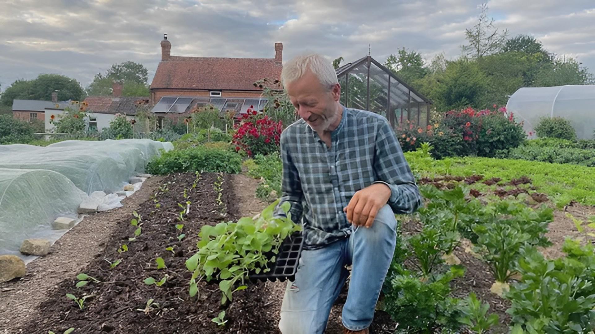 Vegetables for winter and spring harvest, sow and plant in early autumn