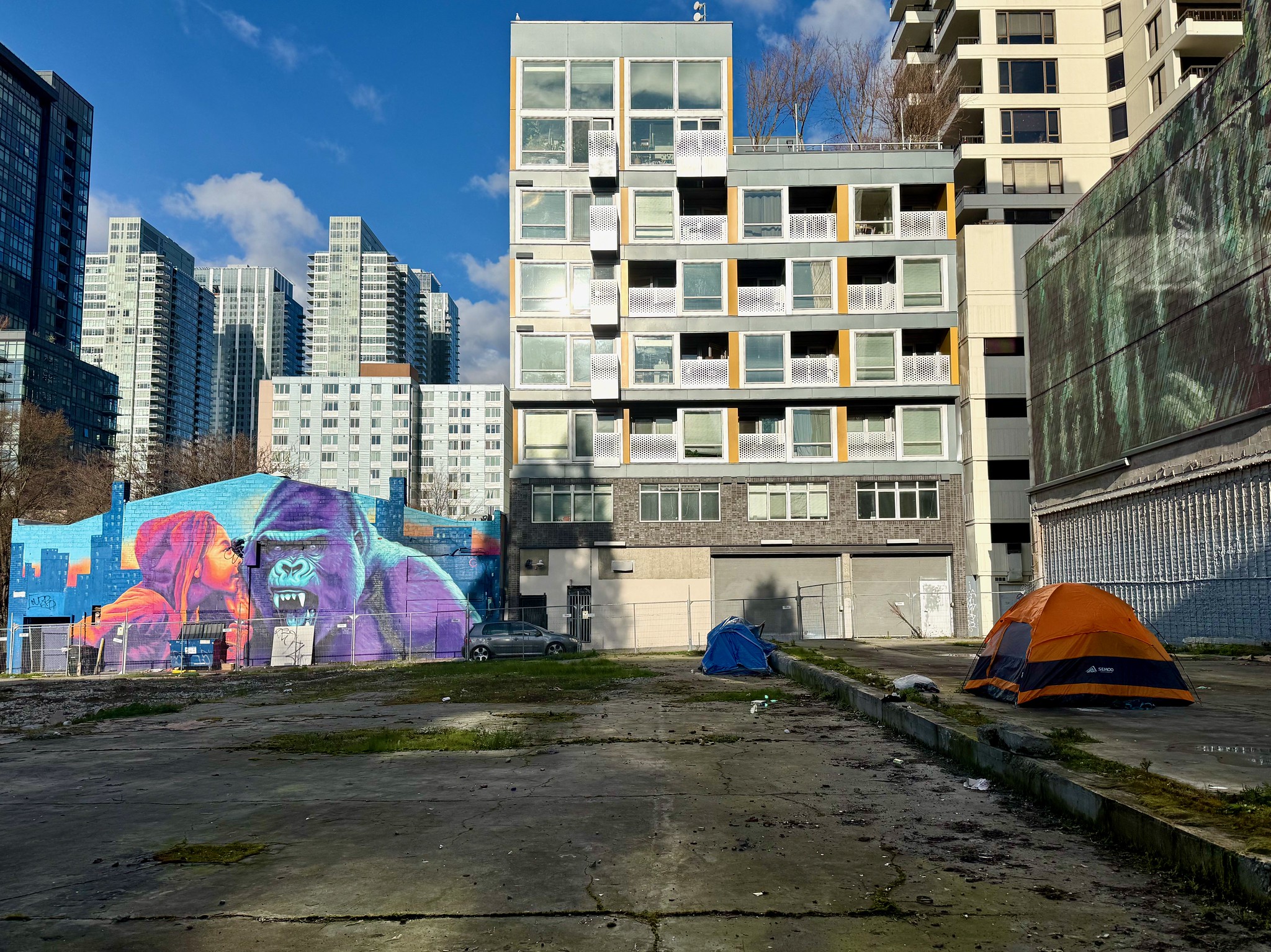 Top Seattle tech and business leaders demand 100-day public safety ...