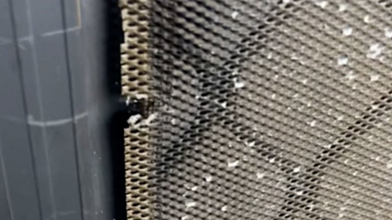 Common cleaning product damaging screen doors – and the cheap home items you should use instead