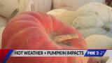 Kirkwood Farmers' Market prepares for Halloween season