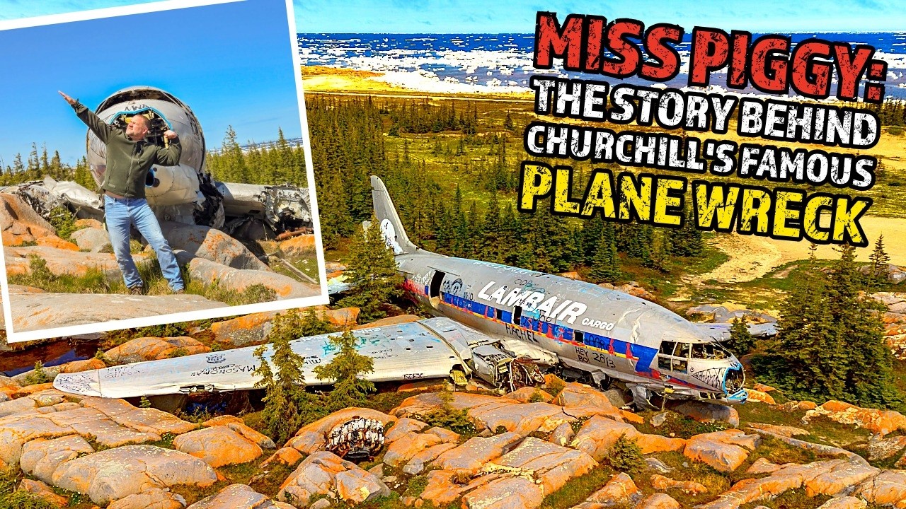 Miss Piggy the story behind Churchill's famous plane wreck