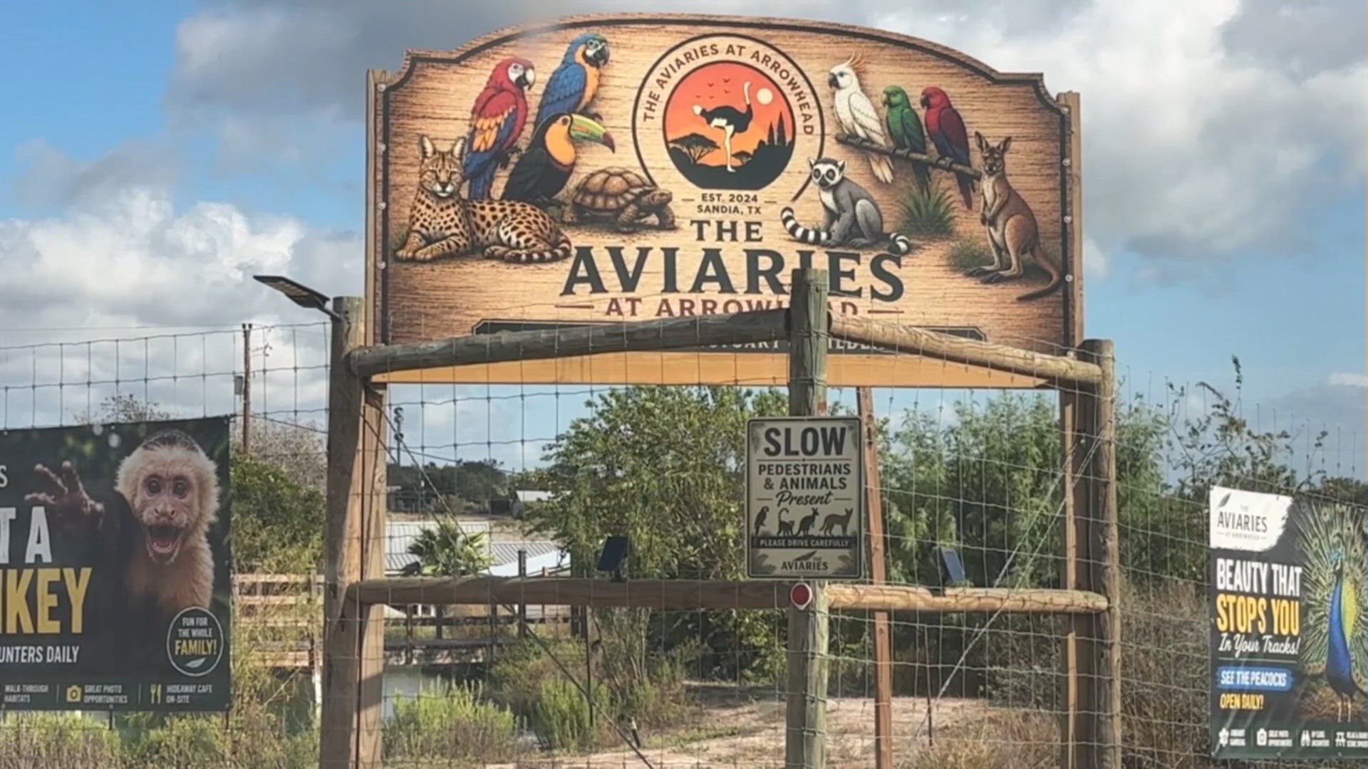 South Texas Wildlife Sanctuary Gives Students Up close Look At Exotic 
