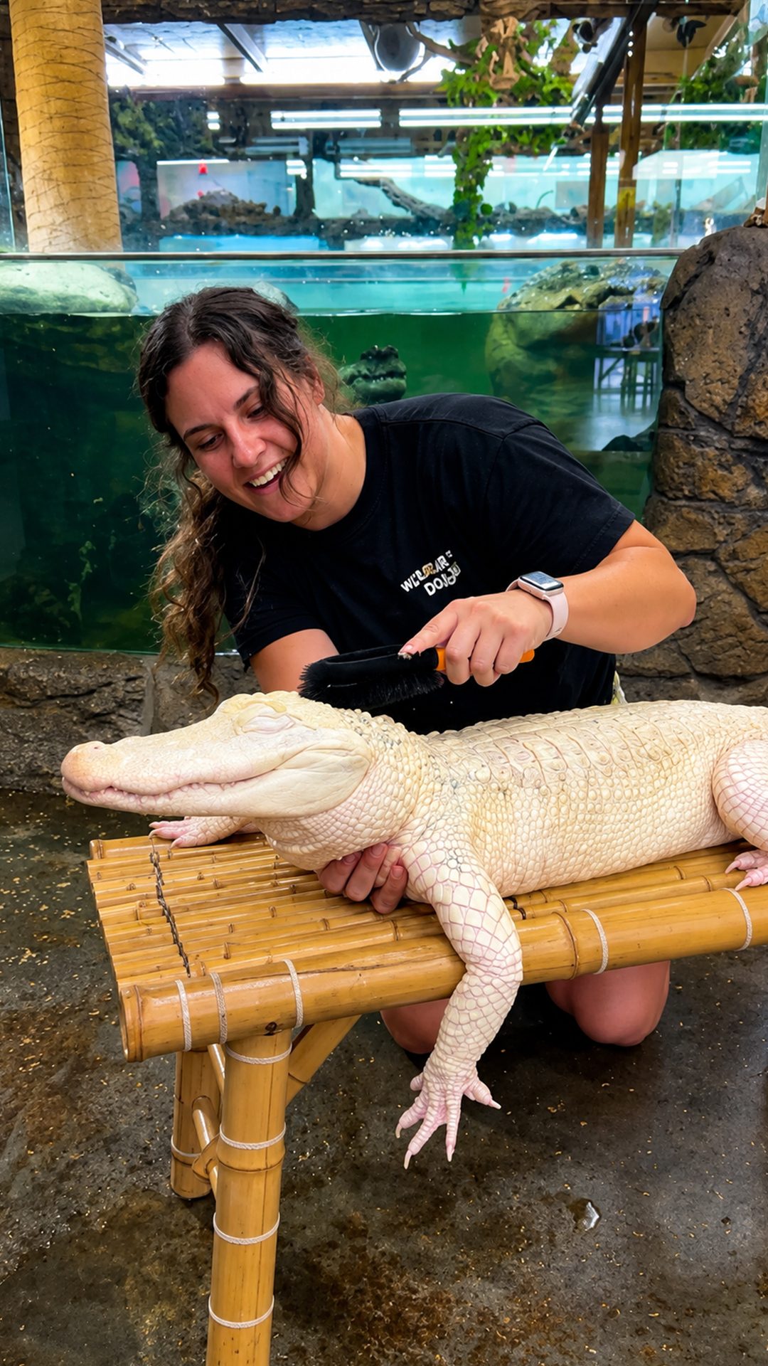 Albino alligator brush scrub reveals an unexpectedly sweet reaction