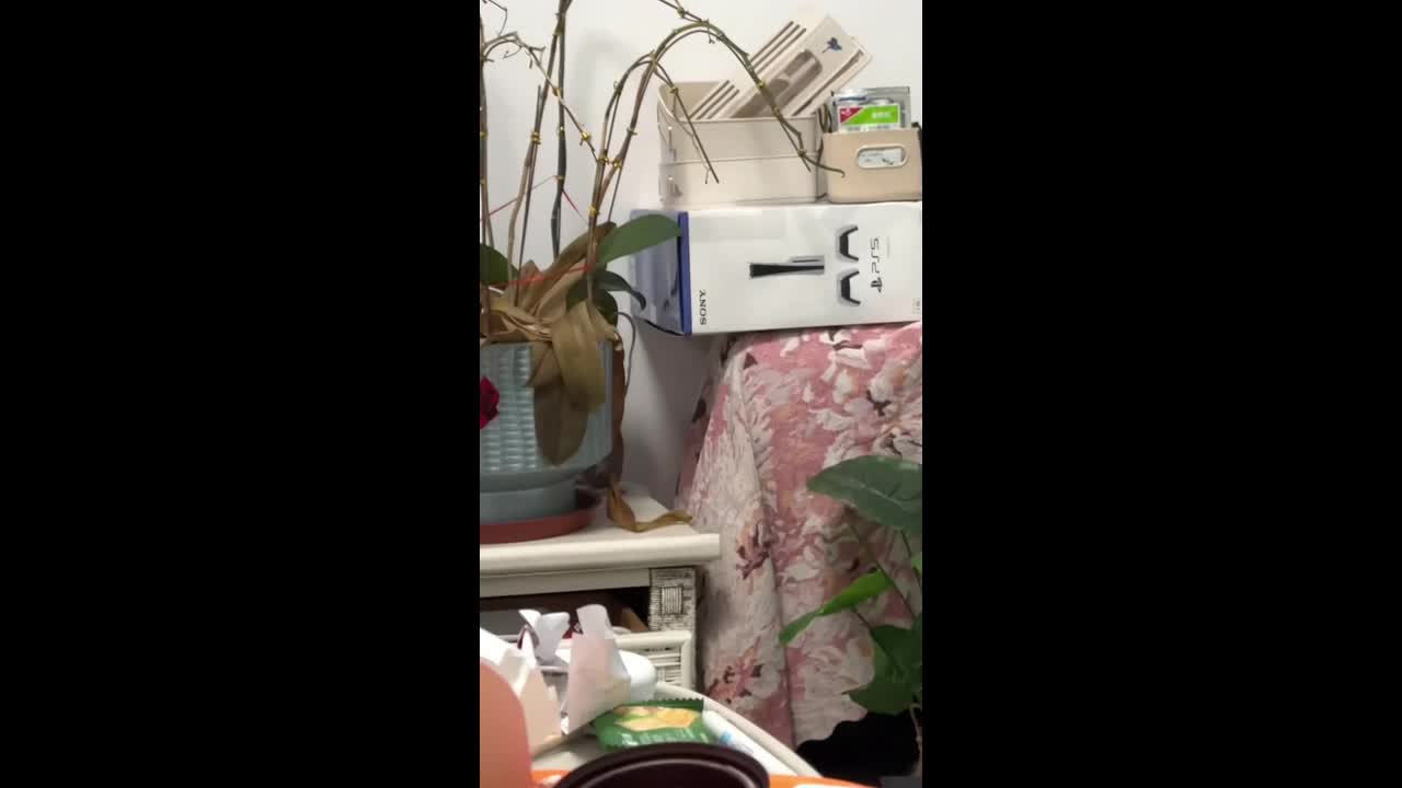 Rat falls from a side table in Guangdong, China
