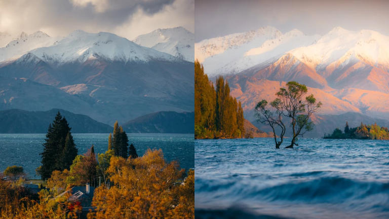 We spent ₹5.93 lakh: Indian couple shares New Zealand honeymoon budget ...