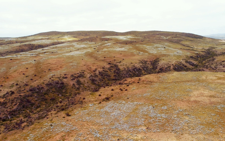 study-finds-vegetation-patterns-may-signal-ecosystem-collapse-risk