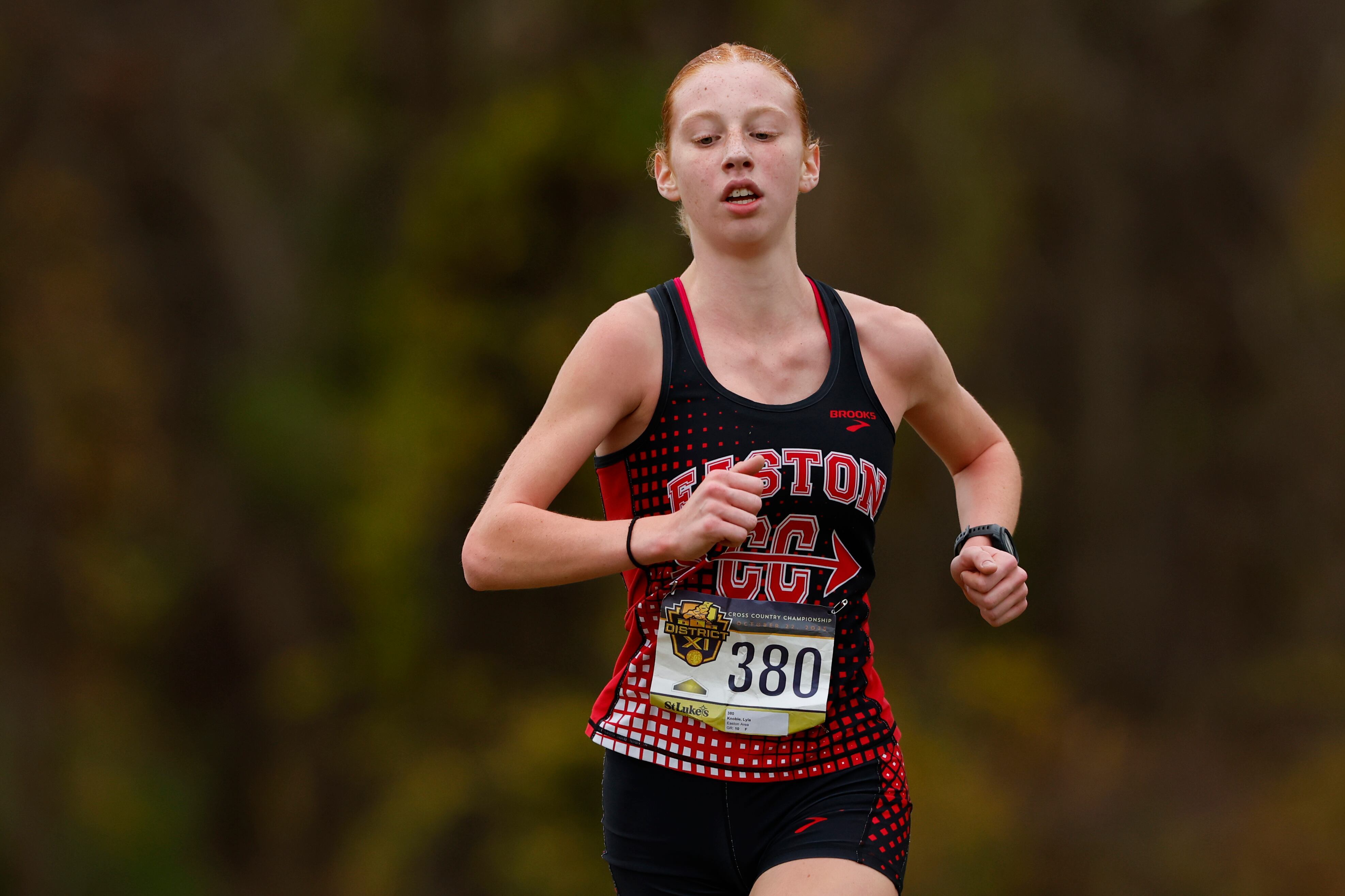 Lehigh Valley preseason girls cross country team rankings: Bringing an old tradition back
