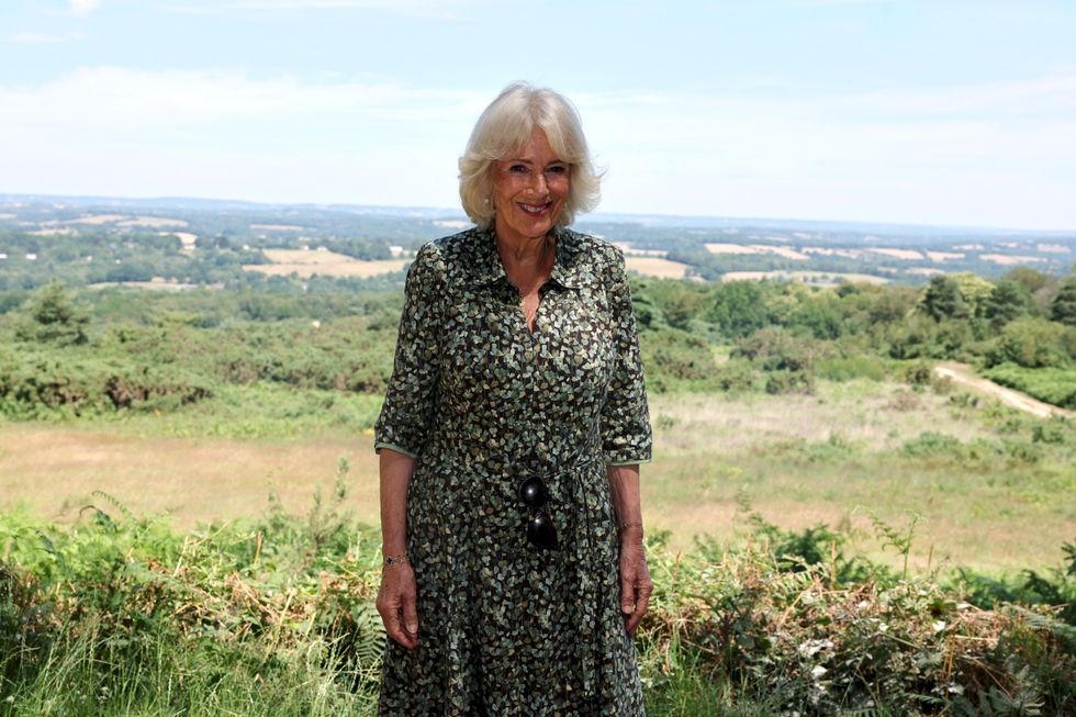 Queen Camilla pays tribute to Winnie-the-Pooh with special message ...