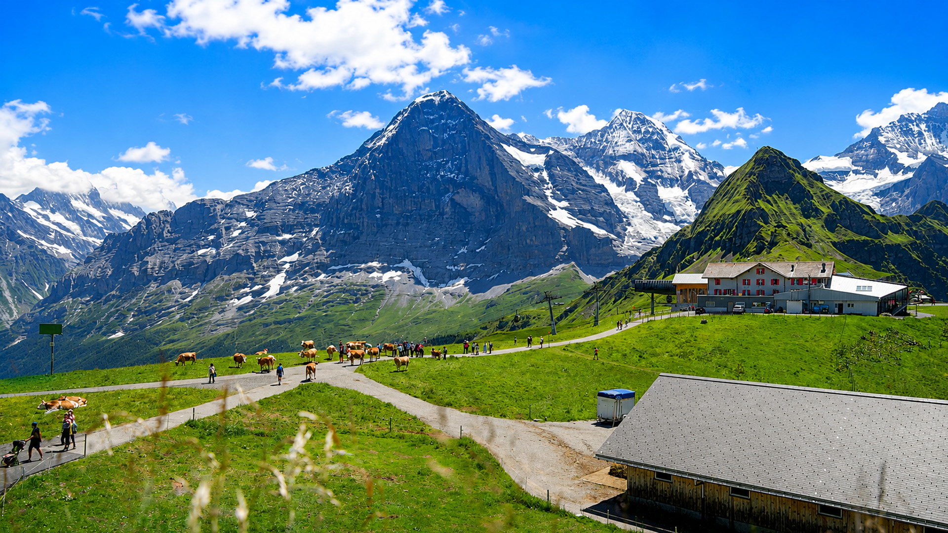 Would you spend a summer here in Switzerland?