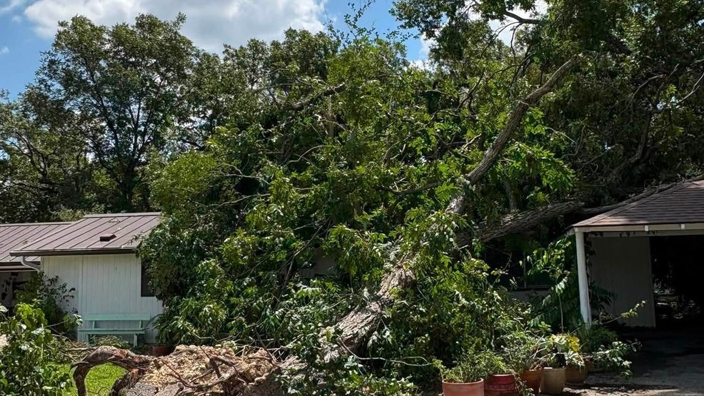 Residents across Alamo Heights start cleanup process after severe storm