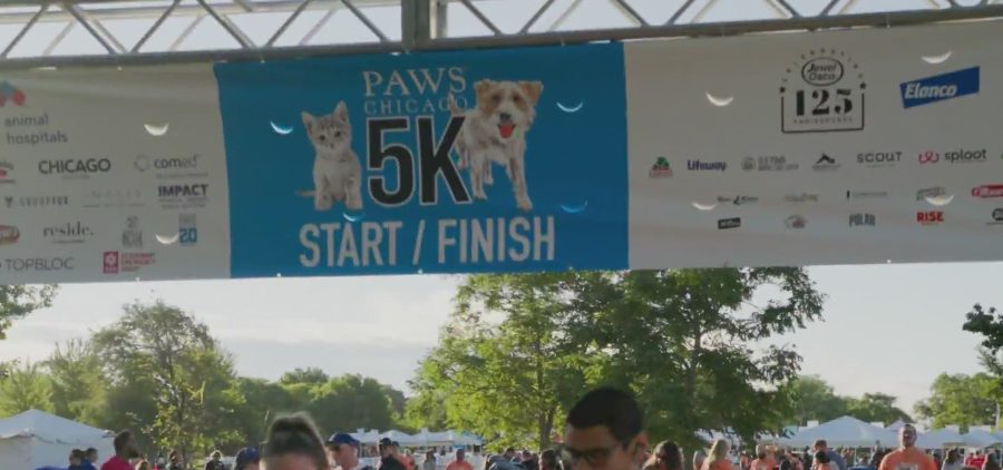 PAWS Chicago 5K walk/run held at Montrose Harbor