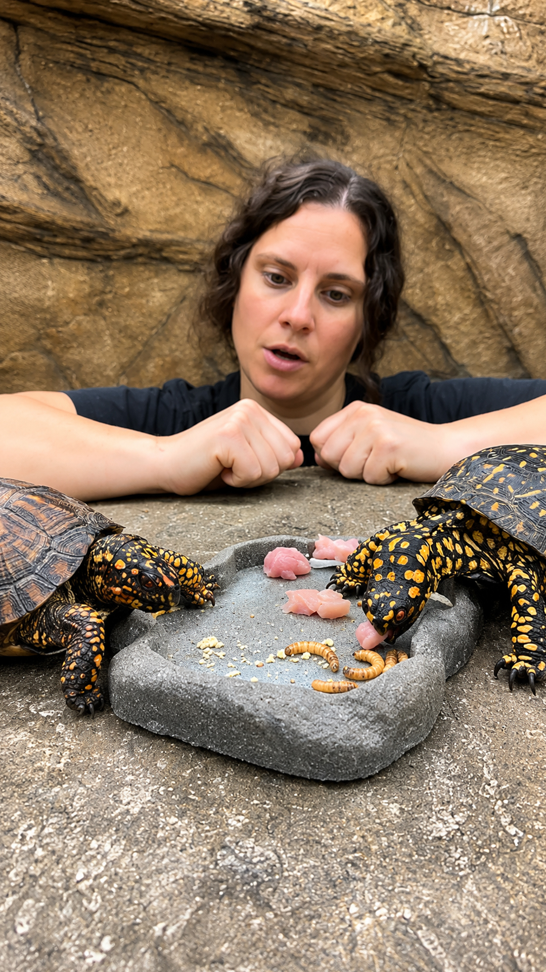 The diet of a high-protein reptile | What they actually need to eat