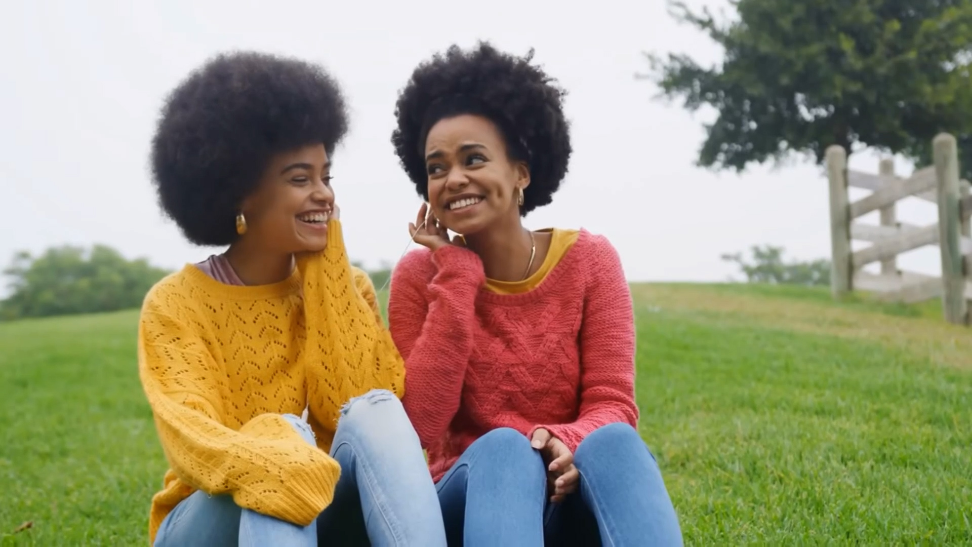 The documented twin cases that quietly break what we assumed about genetics
