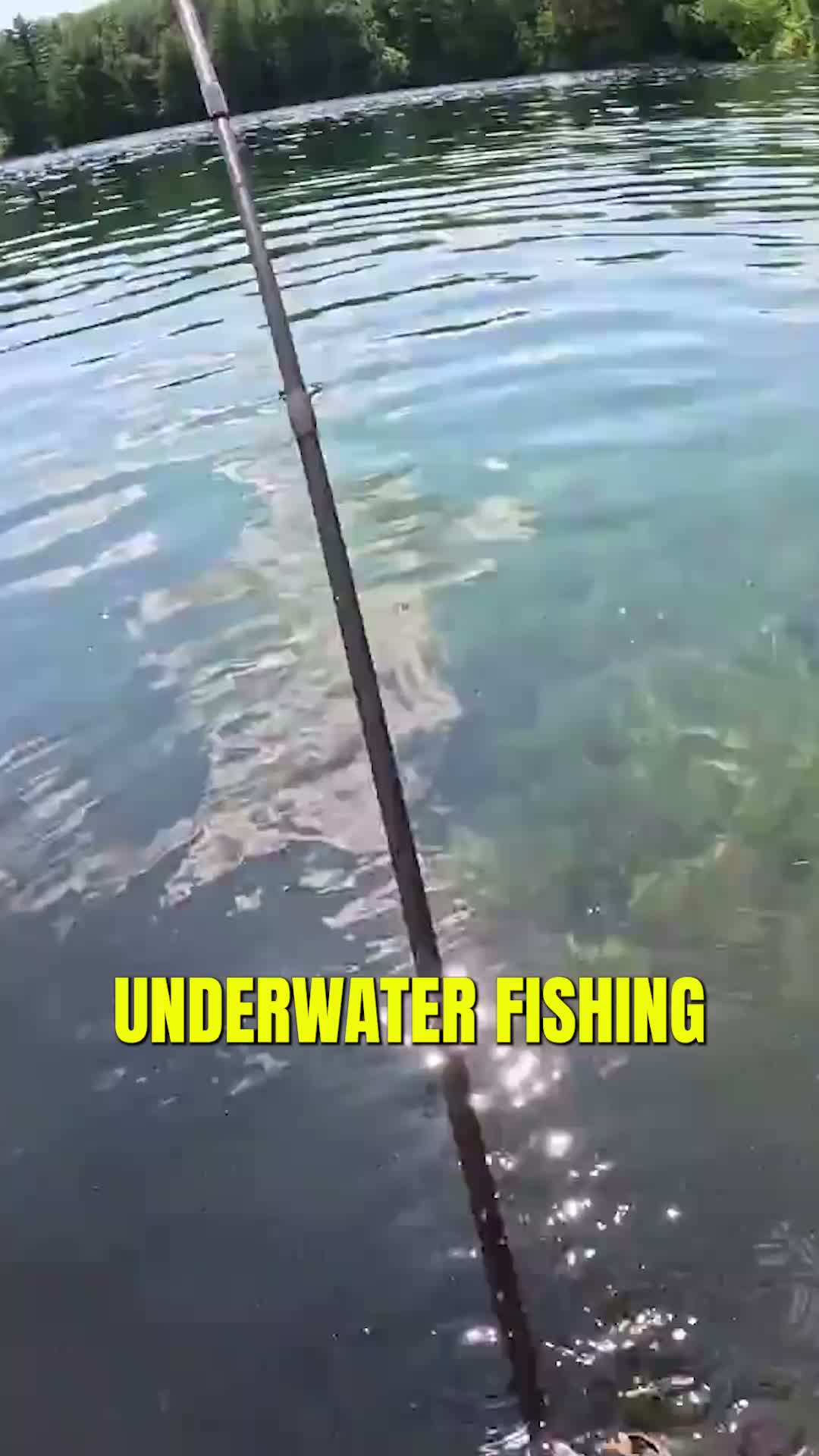 I swam with giant pike and big bass