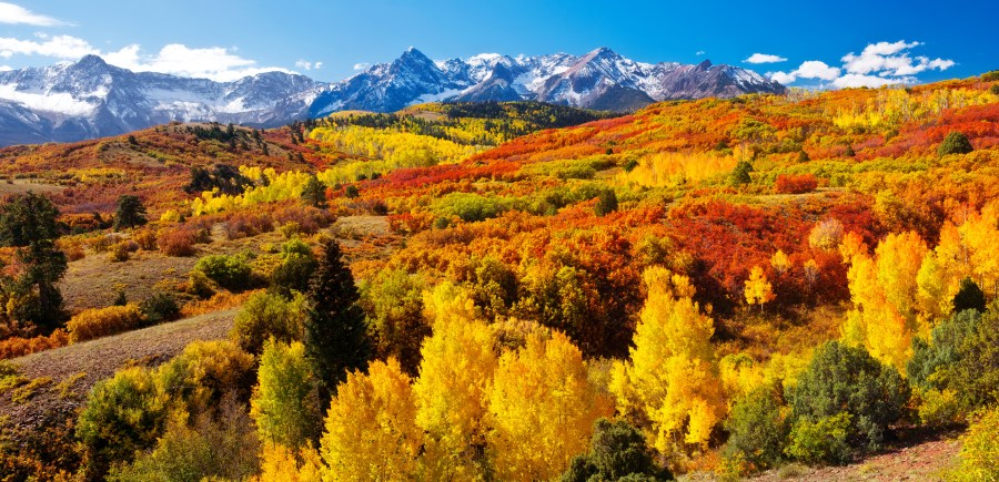 Colorado fall colors forecast 2026: When and where to see peak colors
