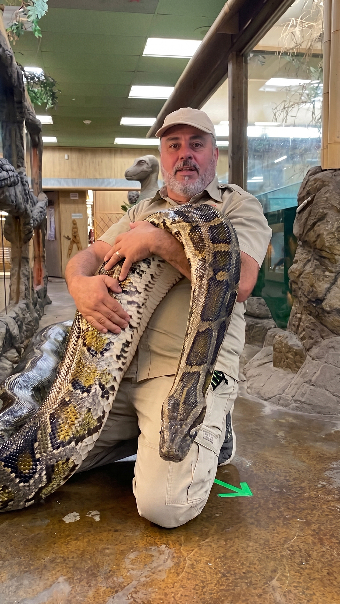 This huge python refused to move and forced everyone to wait