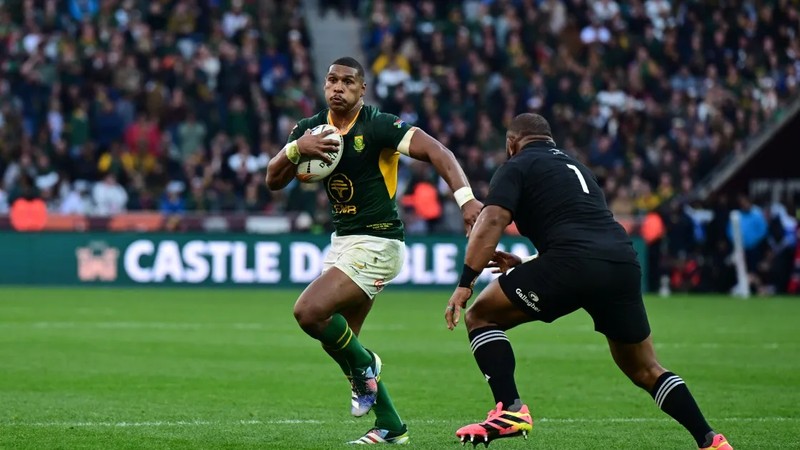 Damian Willemse’s Springbok legacy gets another golden chapter with All ...