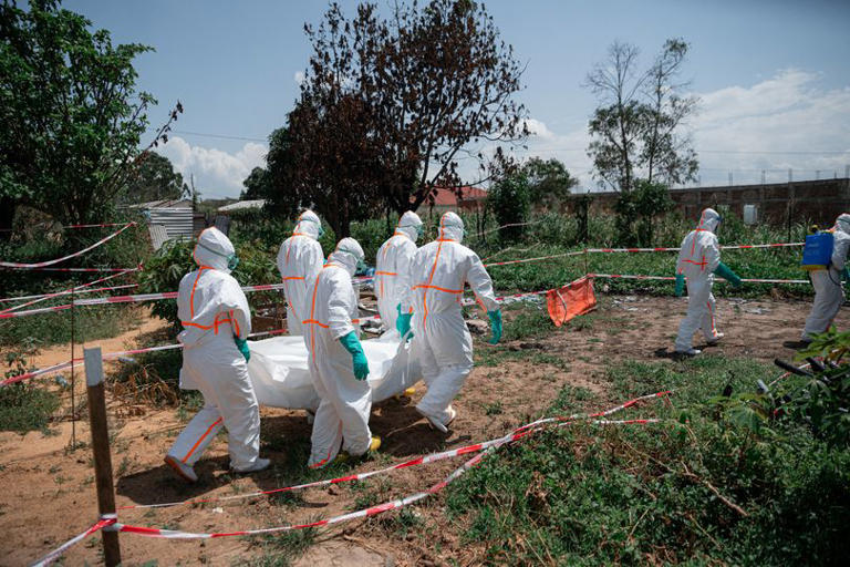 Volunteers of the Democratic Republic of Congo Red Cross wearing personal protective equipment carry the body of an Ebola virus disease victim