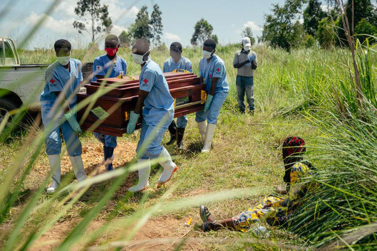 Members of a Congolese Red Cross team carry the coffin of a woman suspected of having died from Ebola virus disease