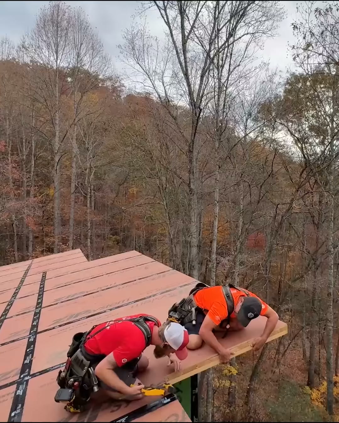 Roof underlayment and window install progress