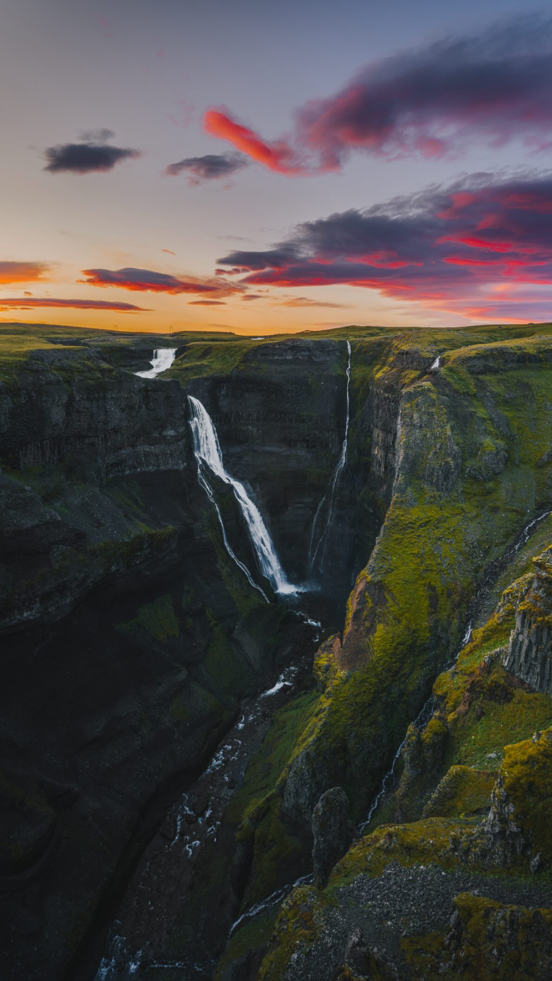 Icelandic sheep surrounded by incredible scenery