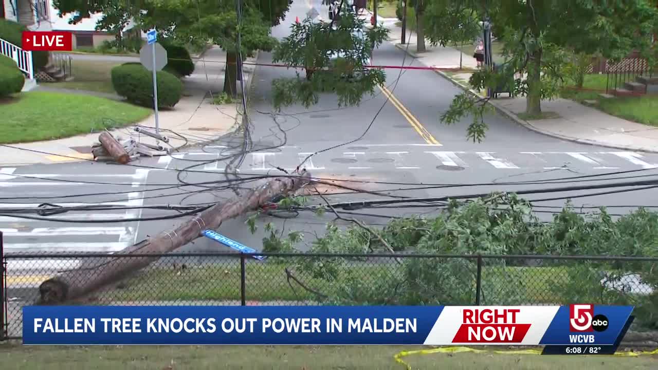100-year-old oak tree falls in Malden, cuts power to nearly 300 homes