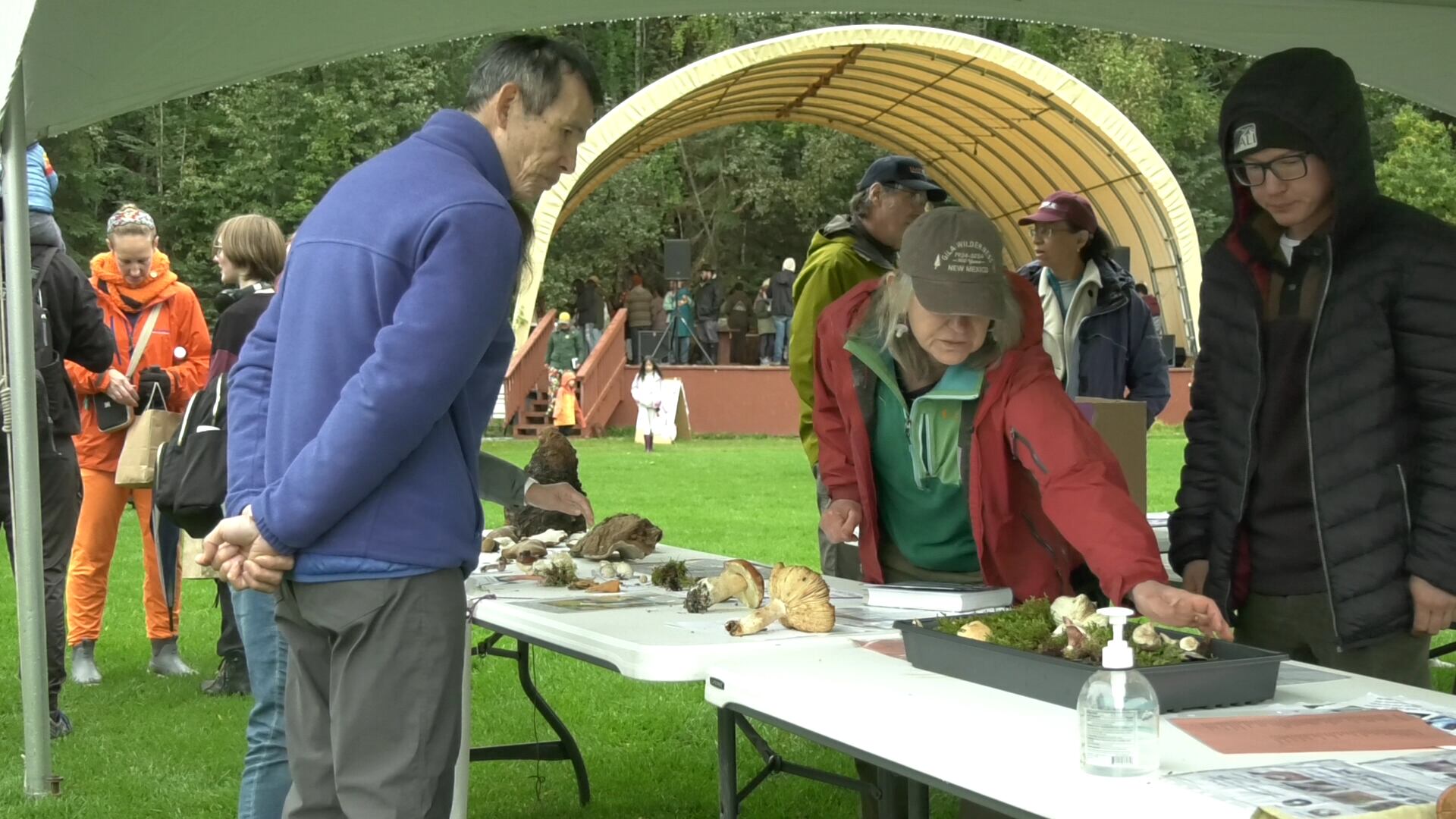 education-on-what-s-edible-fairbanks-fungi-festival-marks-fifth-year
