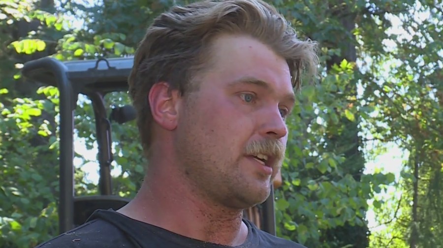 ‘I saw the dust kick up': Worker says he was inches from bullet after man allegedly shot at tree removal crew