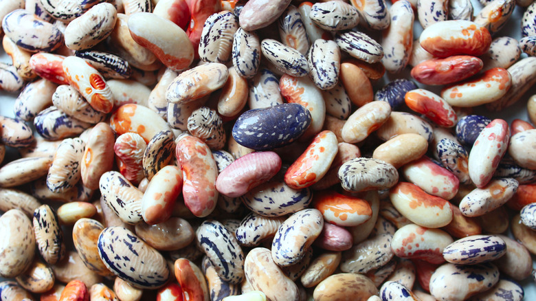 11 tips for how to cook beans