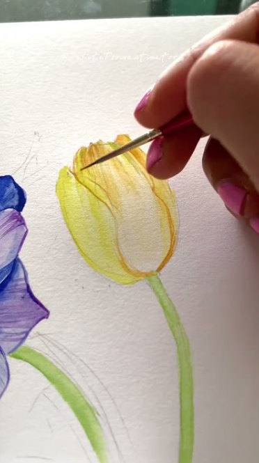 Start Your Watercolour Journey Today Beginner Guide to Painting with ...