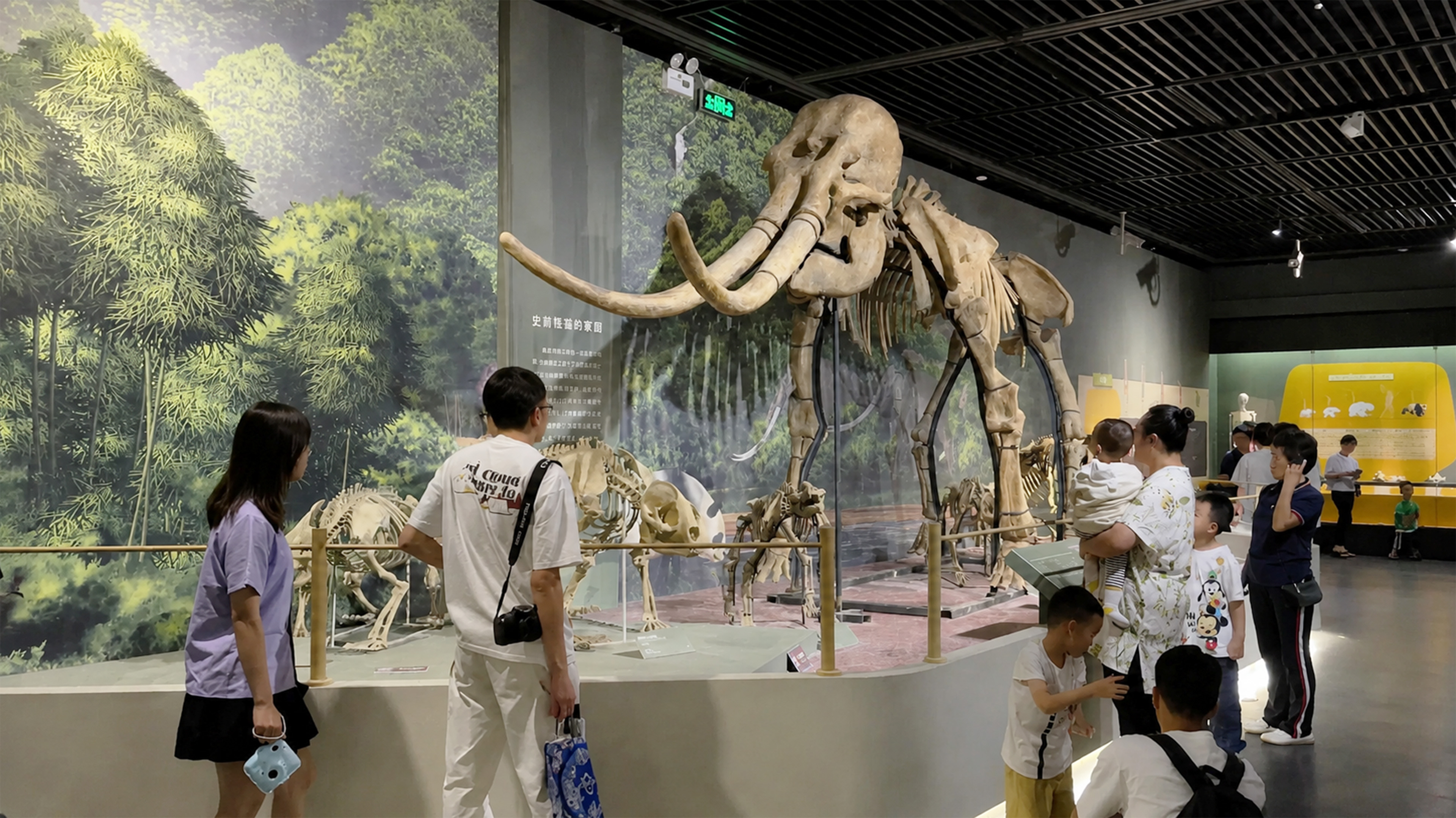 Fossil av mammut drar blickarna till sig på denna djurutställning