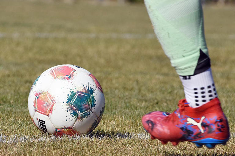 Rieser Siege auf allen Plätzen in der Frauenfußball-Kreisliga