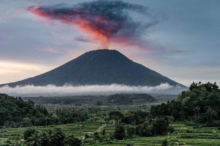 End of the world warning with 'no preparation for civilisation-ending ...
