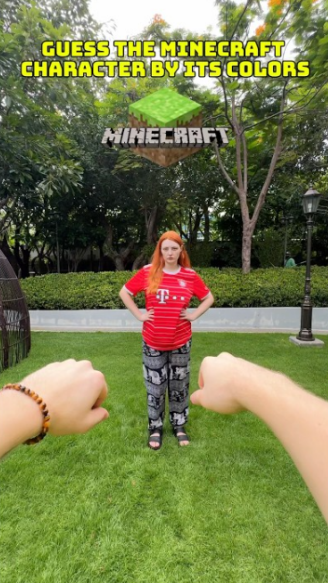Minecraft character challenge tests your gaming knowledge