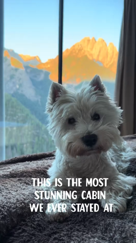 We finally found heaven in the Austrian Dolomites