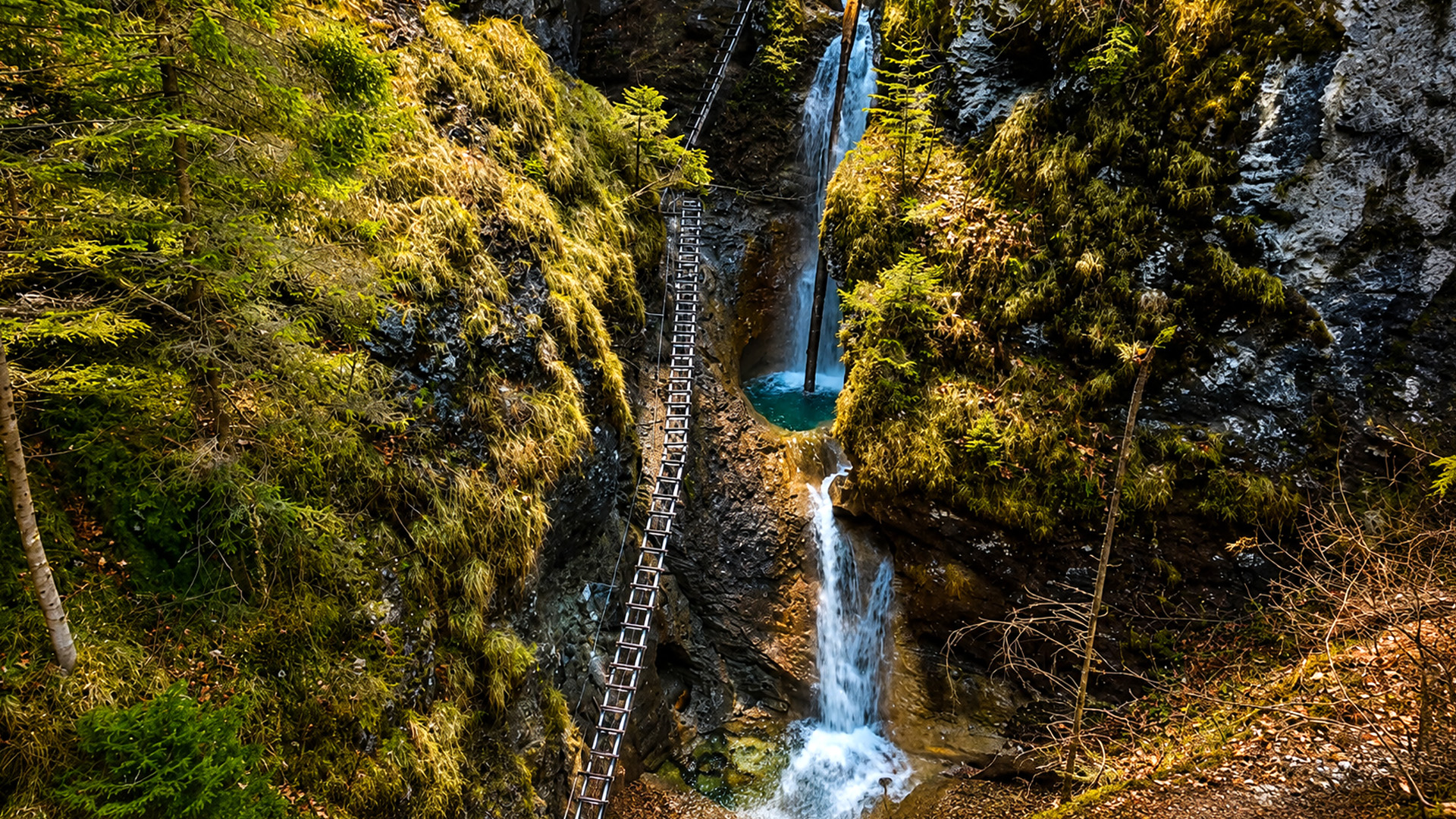 Ladder trails climbing through Slovakia’s waterfall gorges