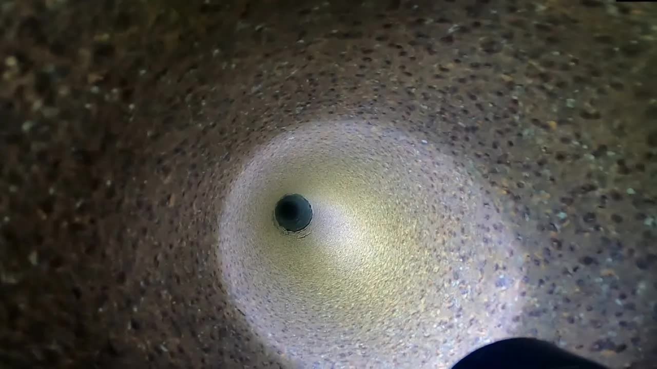 They dropped a camera into a tiny pipe in the woods - then realized ...
