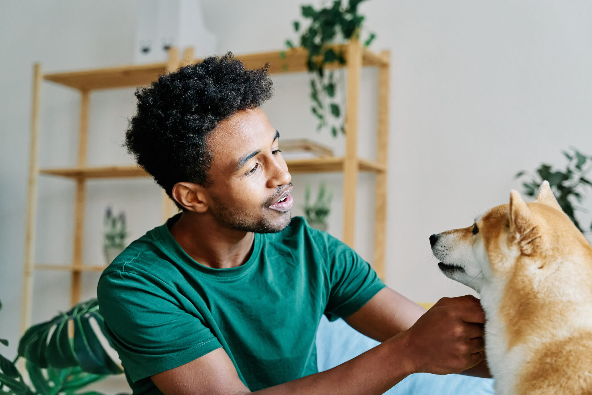 la-science-montre-que-les-chiens-per-oivent-nos-sentiments-avec-pr-cision