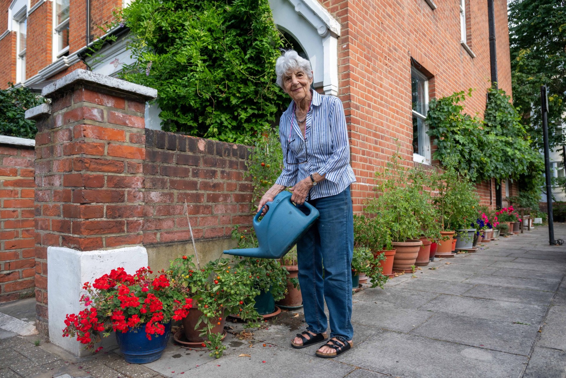 gran-could-be-forced-to-bin-street-garden-after-antisocial-behaviour