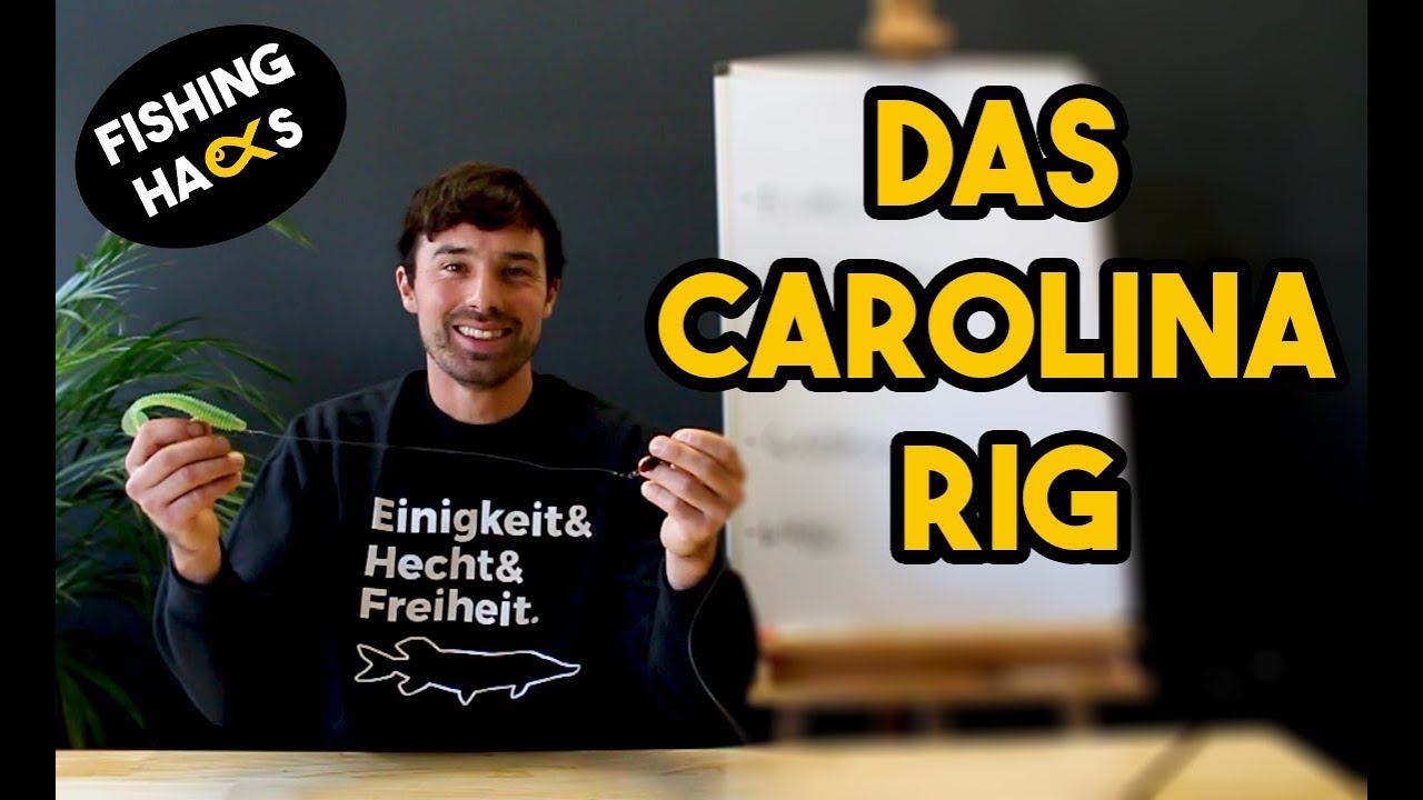 So funktioniert das Carolina Rig | Fishing hacks