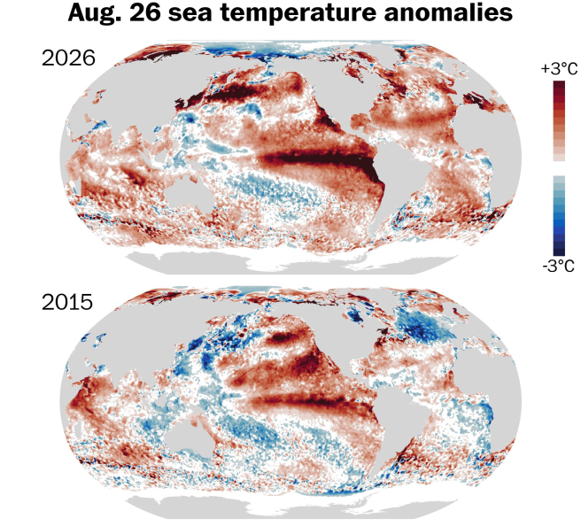 O atual e intenso fenômeno El Niño está prestes a entrar em uma fase ainda mais intensa