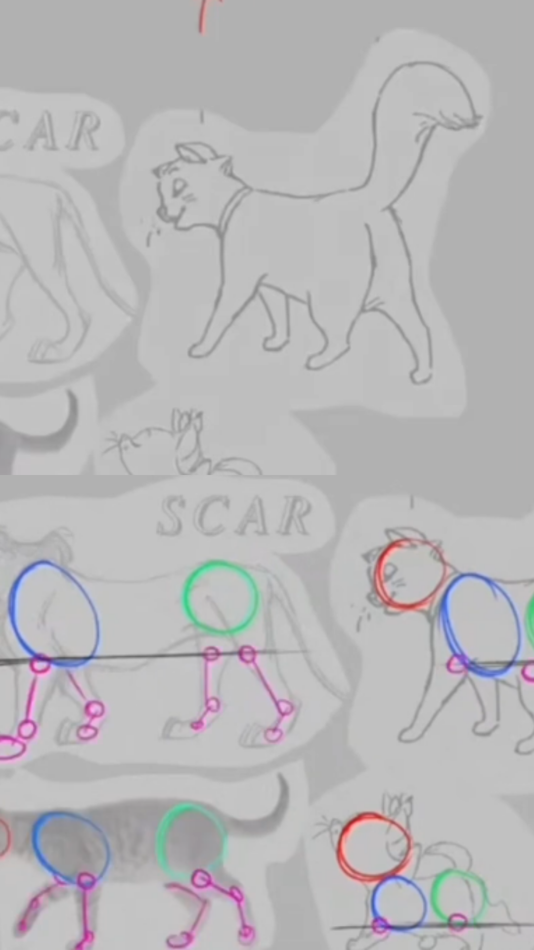 Quick guide to drawing cute cat illustrations