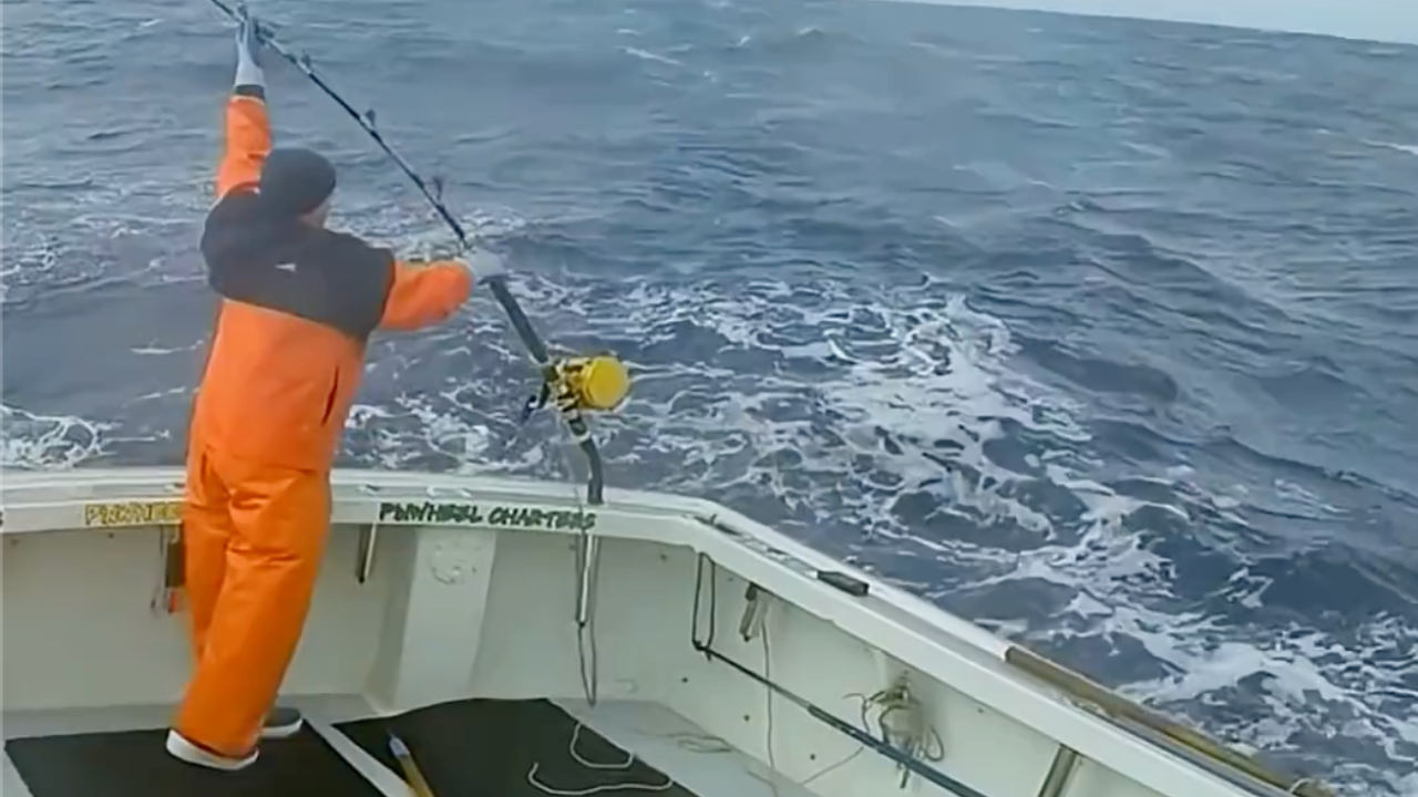 What do you do when your own boat starts going under miles from land?