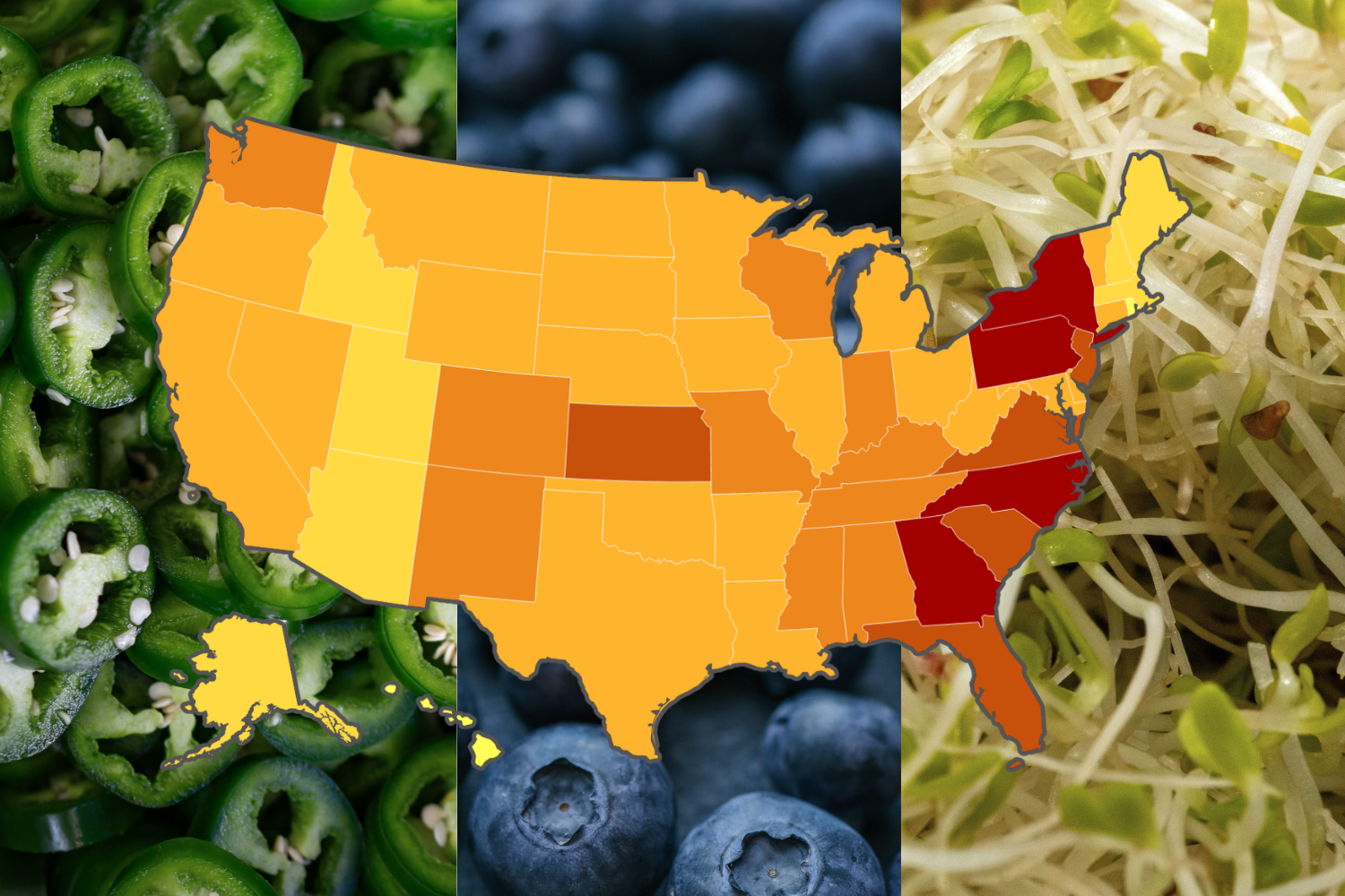 Map shows food recalled over salmonella, E coli across US in August