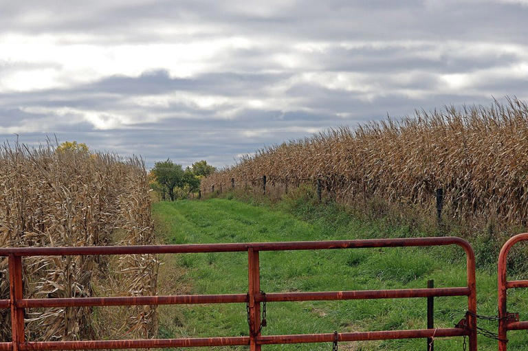Farm country strain widens Republicans’ 2026 Senate problem as Trump ...