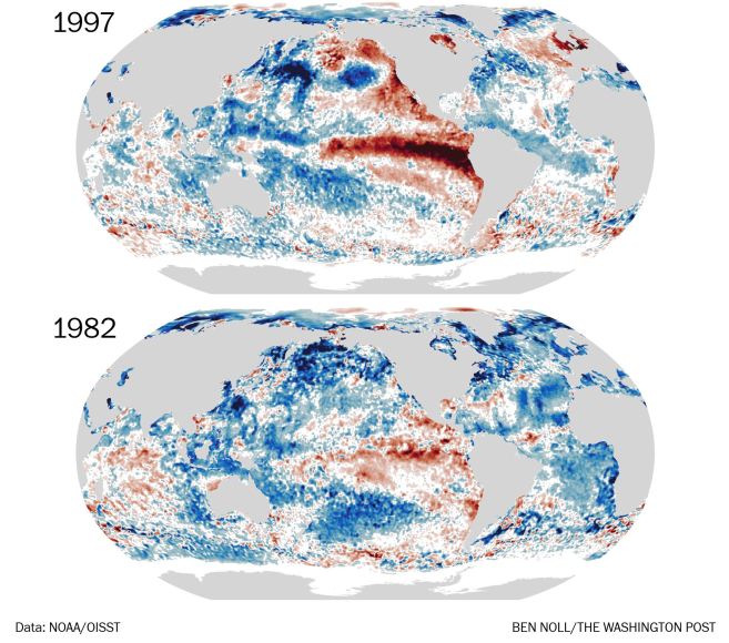 Anomalias da temperatura da superfície do mar, com anomalias frias/quentes em tons de azul/vermelho, para diferentes anos de El Niño até 26 de agosto. Observe que o El Niño de 2026 está se desenvolvendo com extensas anomalias quentes em outros oceanos ao redor do mundo. Ben Noll.