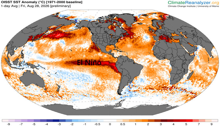 Anomalias na temperatura da superfície do mar, com destaque para o Pacífico equatorial, onde se observam anomalias muito quentes em tons de vermelho, um sinal do intenso El Niño a partir de 28 de agosto de 2026. Reanalisador Climático.