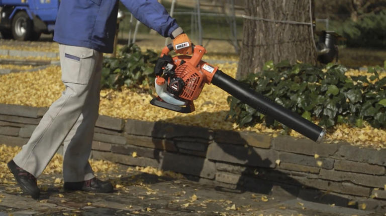 Consumer Reports' highest-rated handheld gas leaf blower knocks Stihl ...